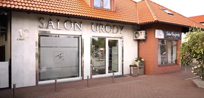 Wilczyńska & Lichnerowicz aesthetics